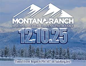 Online Embryo Auction Sale Book