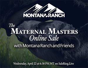 Online Embryo Auction Sale Book