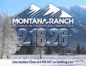 Online Embryo Auction Sale Book